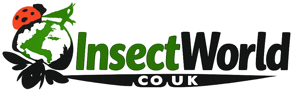 InsectWorld.co.uk