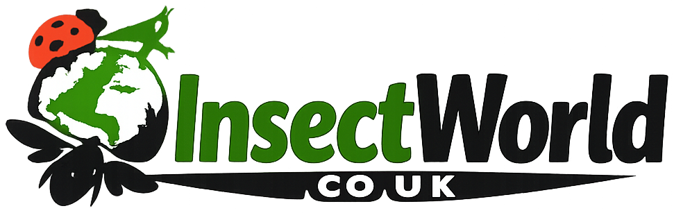 InsectWorld.co.uk
